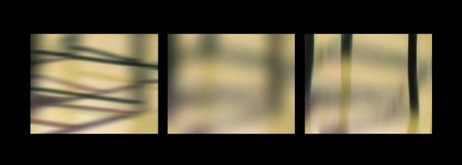 Featured image - Untitled (SAM_6801) (triptych), 2016