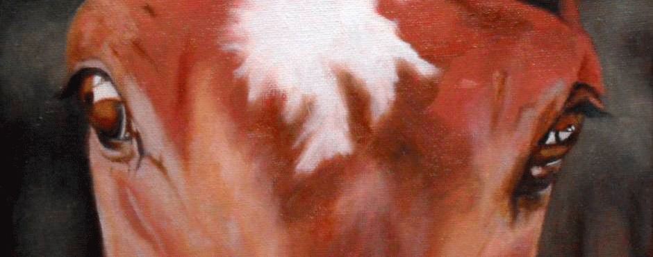 Featured image - 'Stable-eyes' (detail), 2017